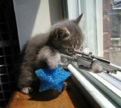 sniper